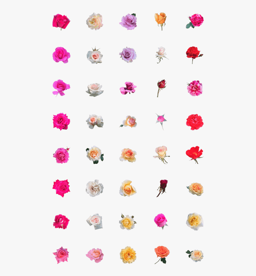Clip Art, HD Png Download