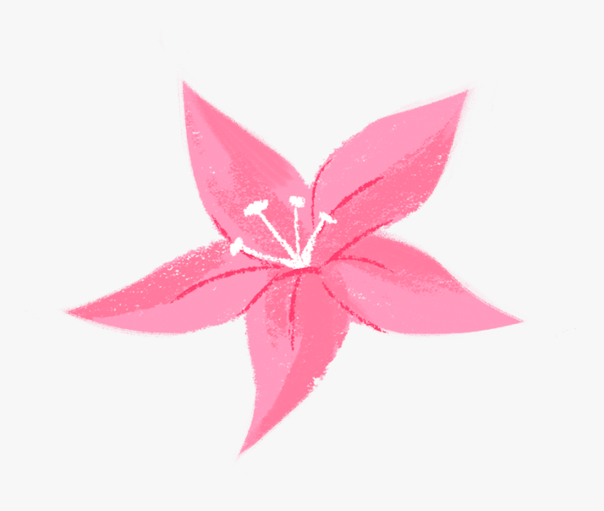 Floral Design, HD Png Download