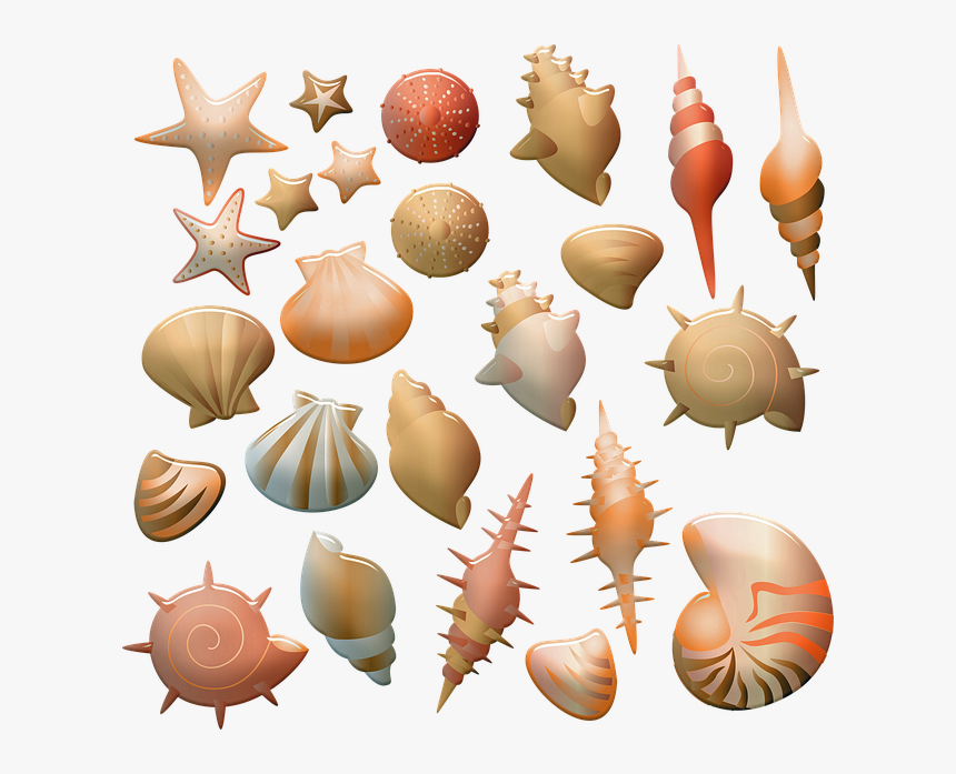 Illustration, HD Png Download