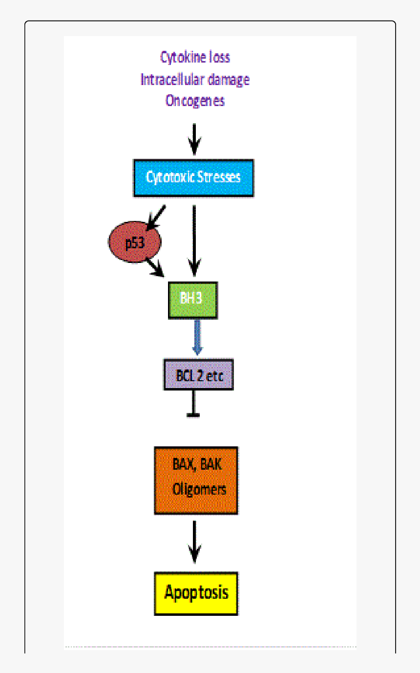 Diagram, HD Png Download