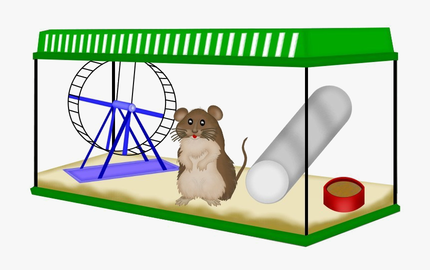 Src Images/animaljpg227 - Rat, HD Png Download