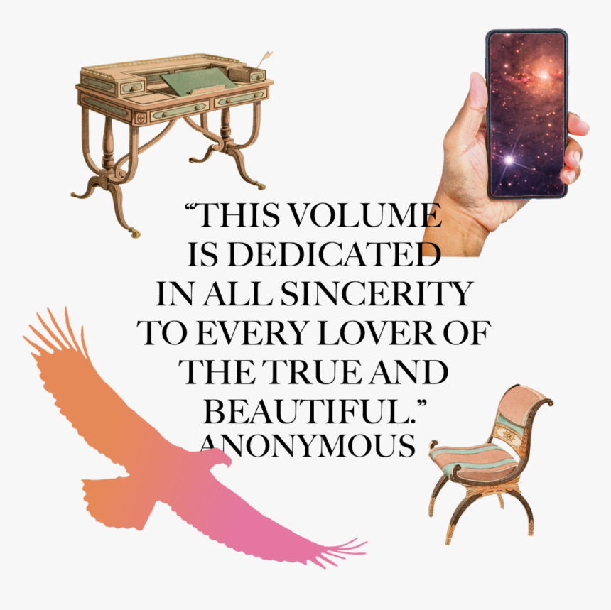 Header - Hawk, HD Png Download