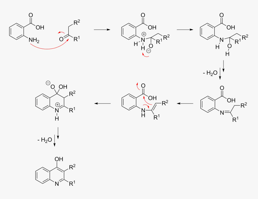 Niementowski Quinoline Mechanism - Friedlander Synthesis Of Quinoline, HD Png Download