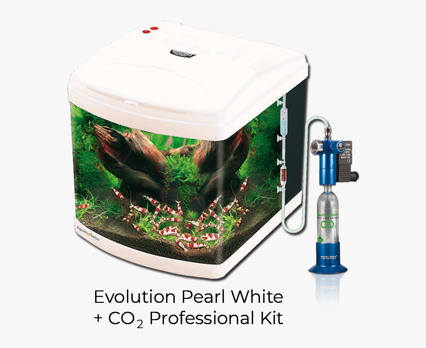Evolution Pearl White - Aquarium, HD Png Download