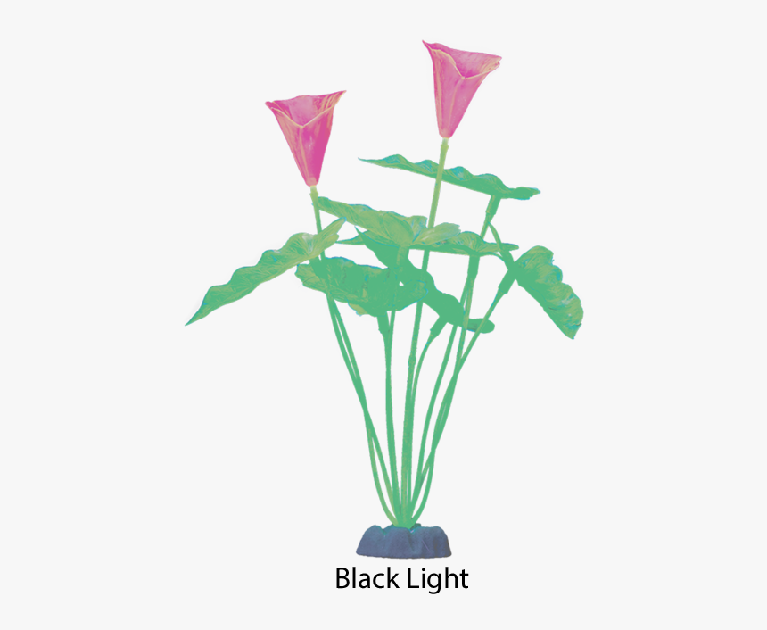 Glofish 19272 Extra Large Color Changing Green Plant - Garden Roses, HD Png Download