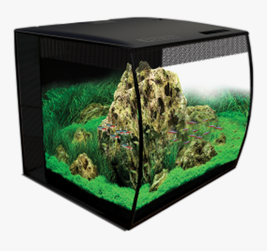 Fluval Flex 15 Gallon, HD Png Download