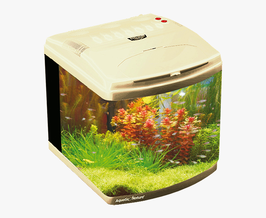 Evolution Vanilla - Freshwater Aquarium, HD Png Download