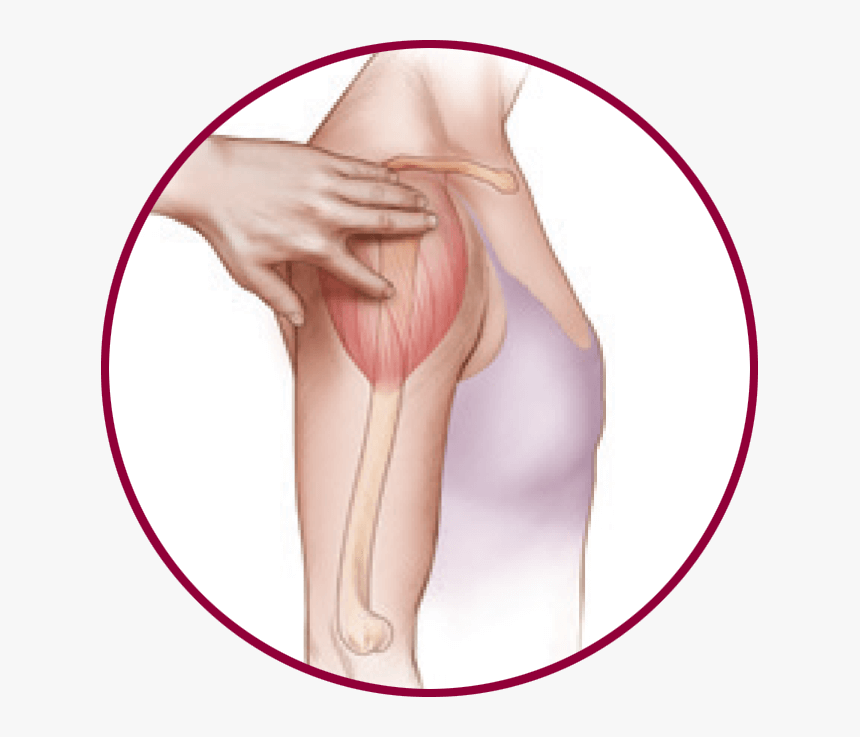 The Right Area Of Your Arm - Girl, HD Png Download