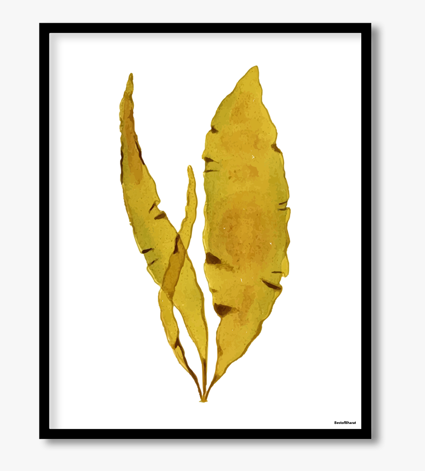 Leaf, HD Png Download