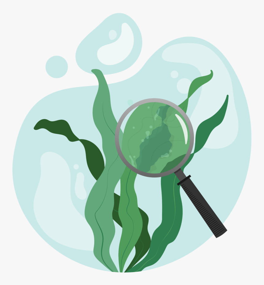 Com - Illustration, HD Png Download