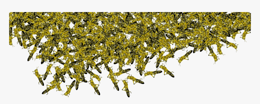 Art, HD Png Download