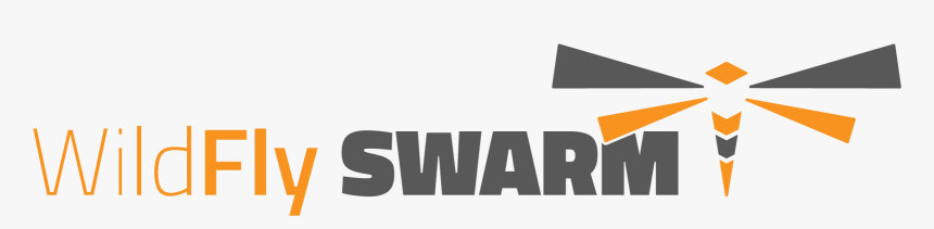 Wildfly Swarm Logo, HD Png Download