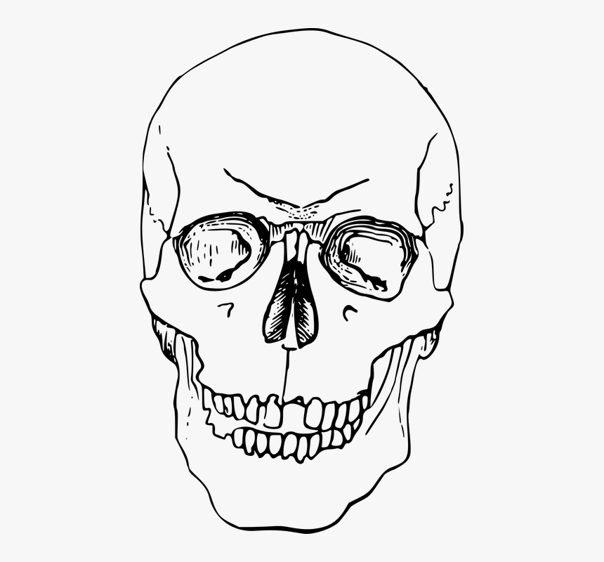 Esqueleto Png, Transparent Png