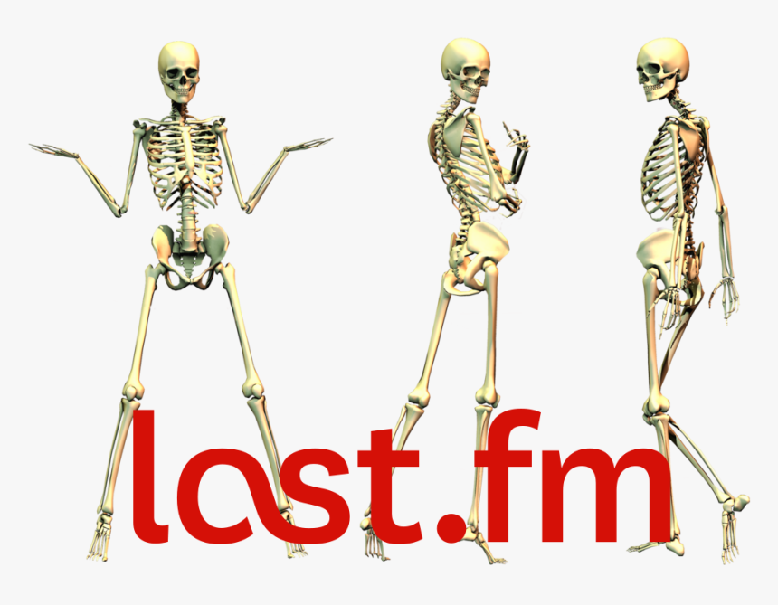 371kib, 1024x724, Spooke - Last Fm Logo Transparent, HD Png Download