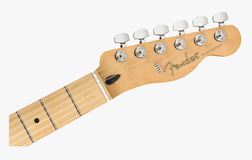 American Performer Telecaster Hum , Png Download - Player Telecaster Headstock, Transparent Png