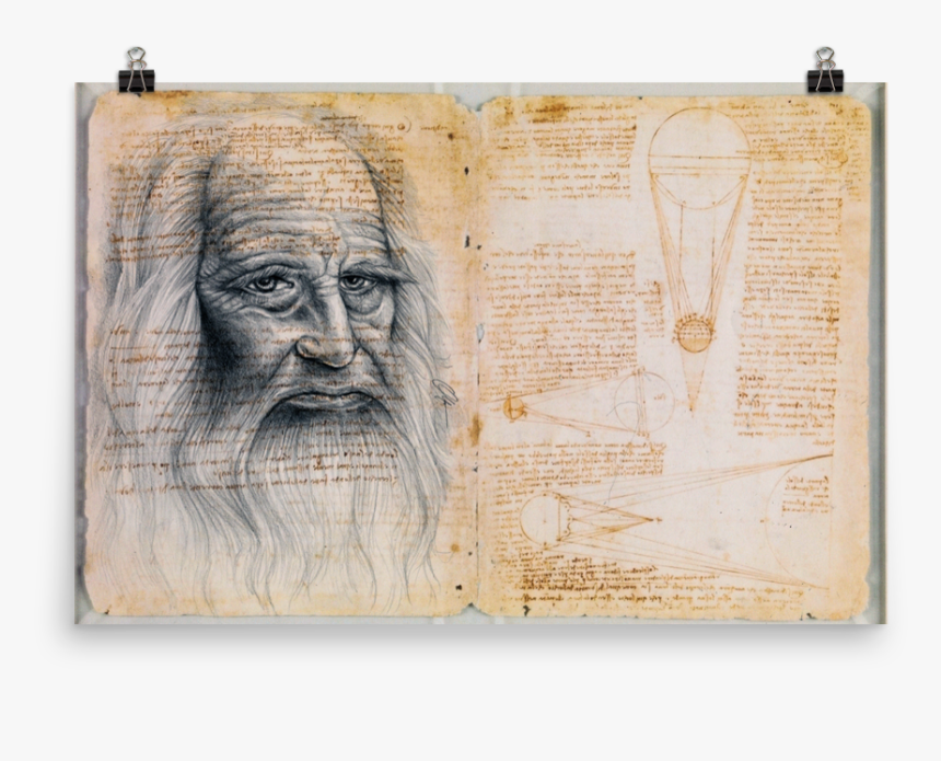 Image Of Leonardo Da Vinci - Visual Arts, HD Png Download