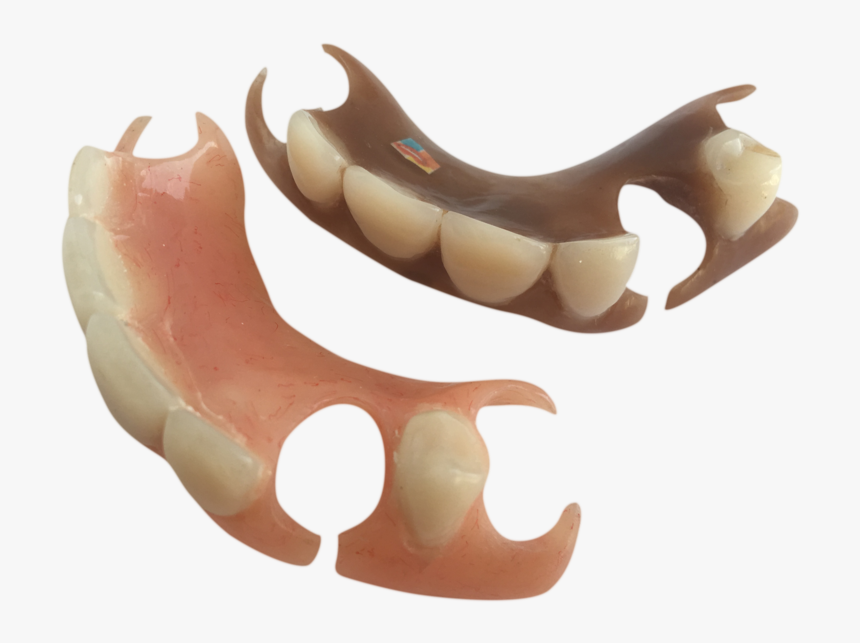 Animal Figure, HD Png Download