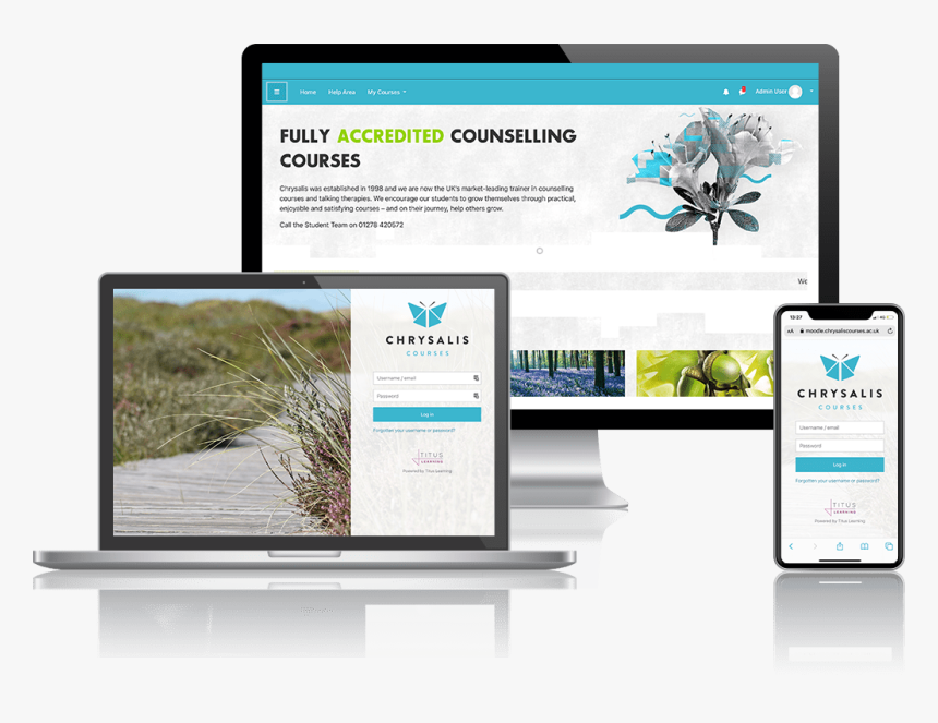 Website, HD Png Download