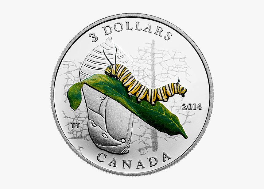 Coin, HD Png Download