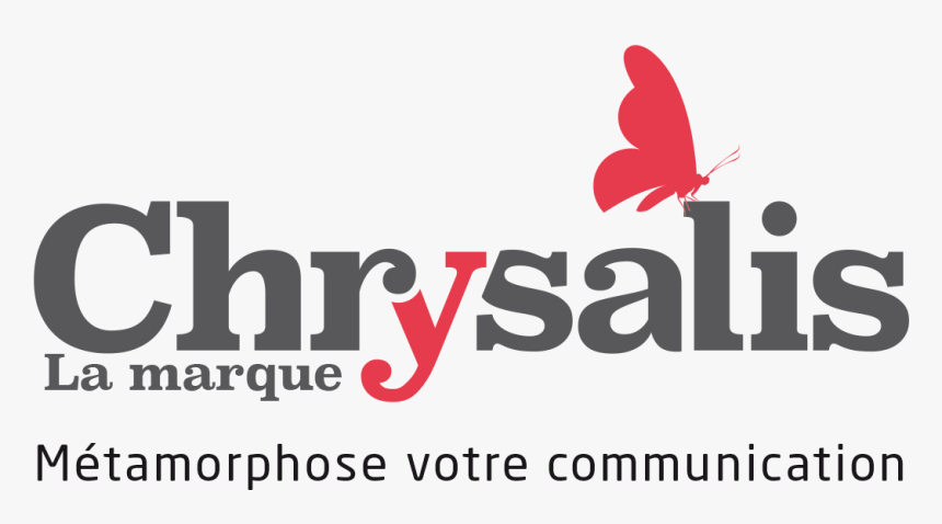 Logo Fond Blanc Chrysalis - Graphic Design, HD Png Download