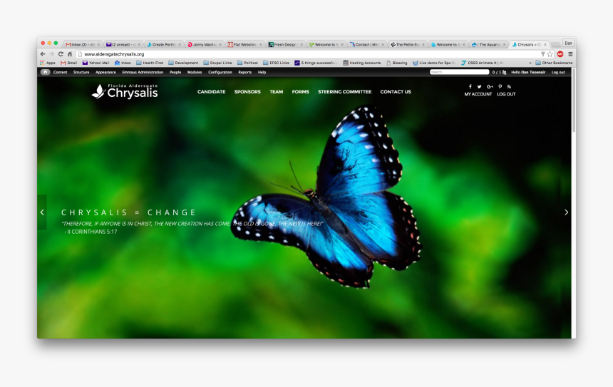 Butterfly In The Air, HD Png Download
