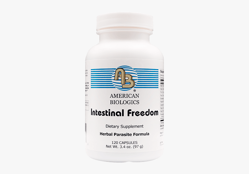 Intestinal Freedom - Stallion, HD Png Download