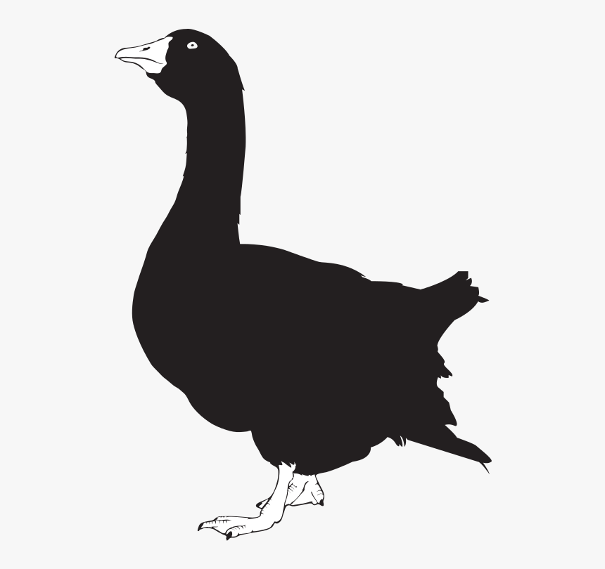 Goose Silhouette Png, Transparent Png