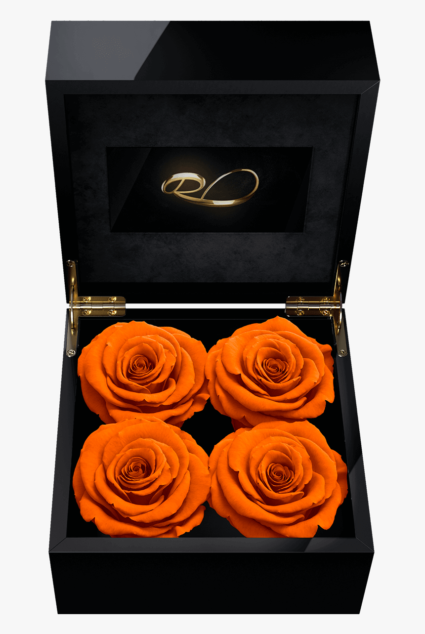 Preserved Red Rose Box, HD Png Download