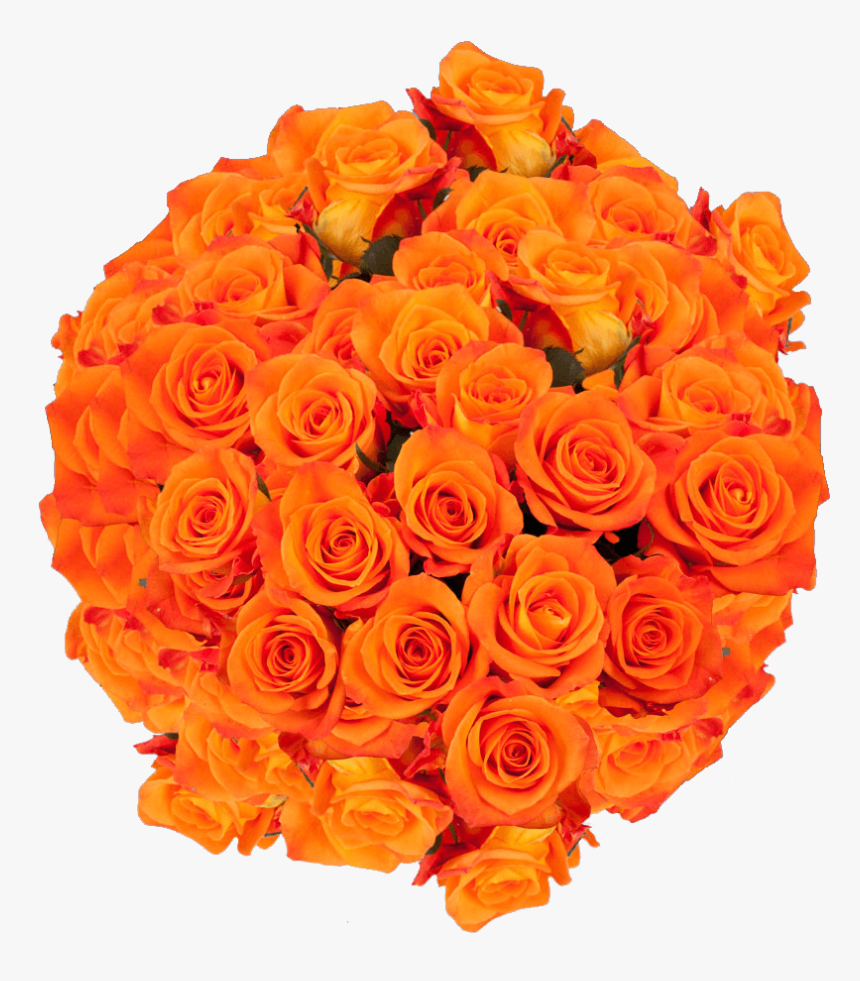 Natural Bright Orange Roses - Floribunda, HD Png Download