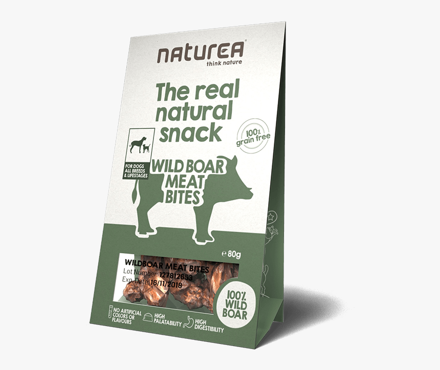 Capybara, HD Png Download