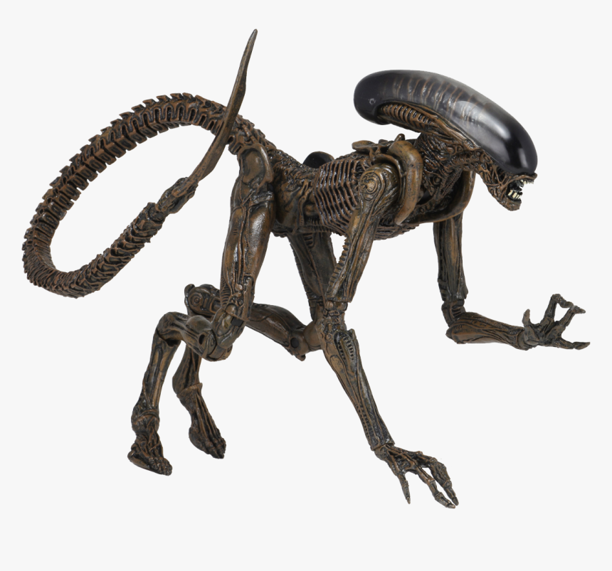 Neca Ultimate Dog Alien, HD Png Download