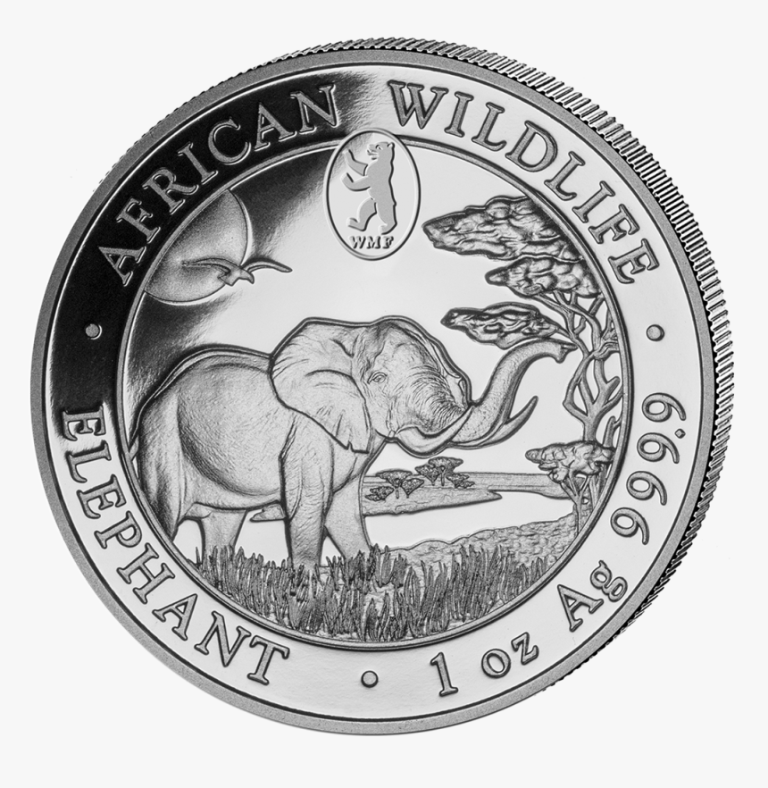 Ibsom999931 1 - Indian Elephant, HD Png Download