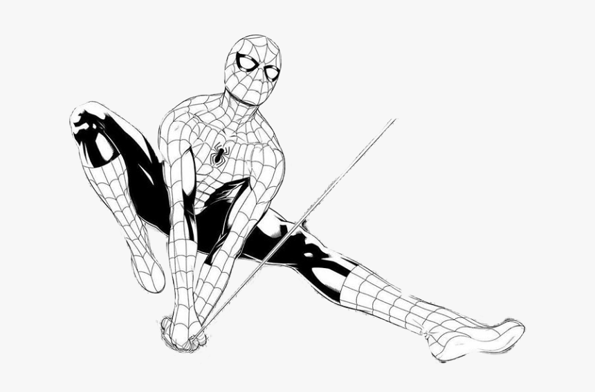 #hombre Araña - Sketch, HD Png Download