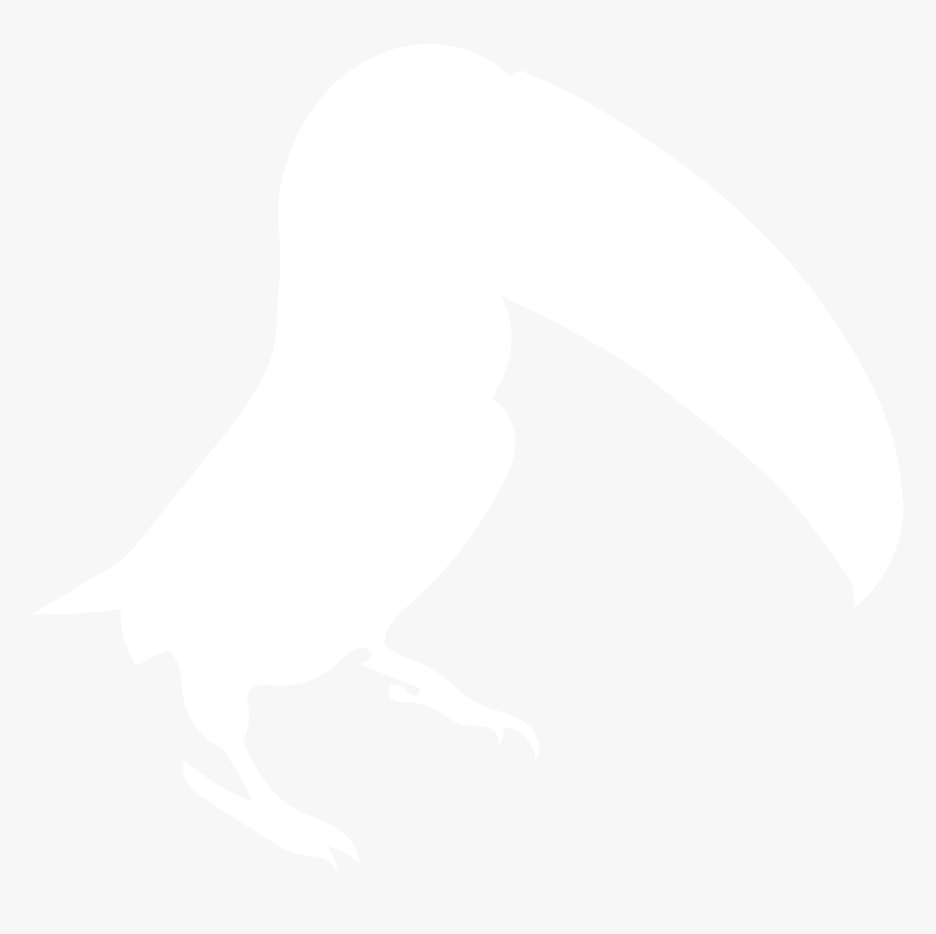 Toucan Icon White - Illustration, HD Png Download
