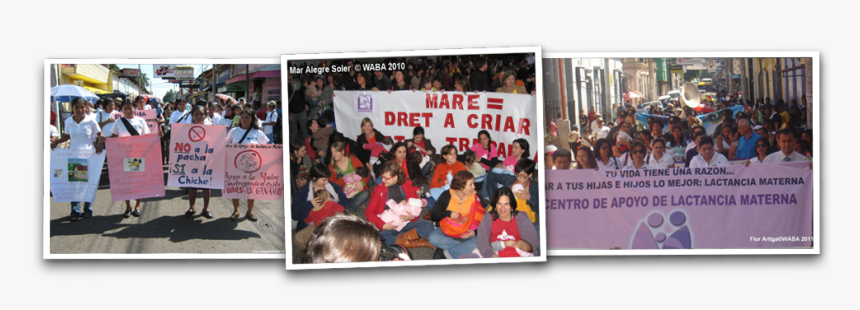 World Breastfeeding Week 2010, HD Png Download