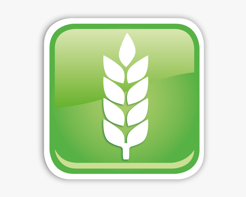 Organic Fluorinated Compounds Icon Agrochemicals - Emblem, HD Png Download