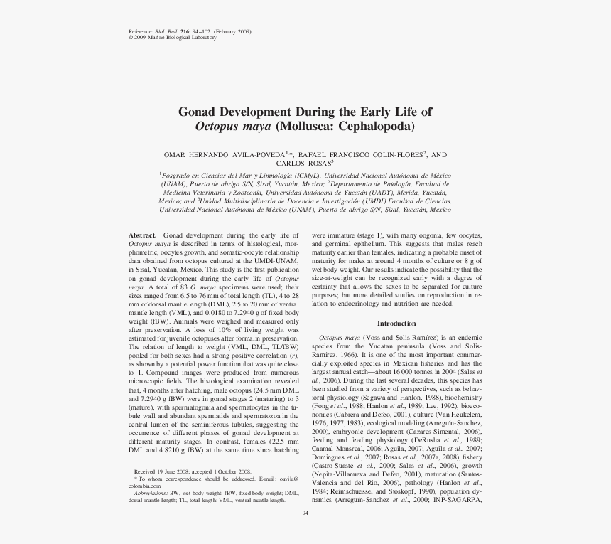 Document, HD Png Download
