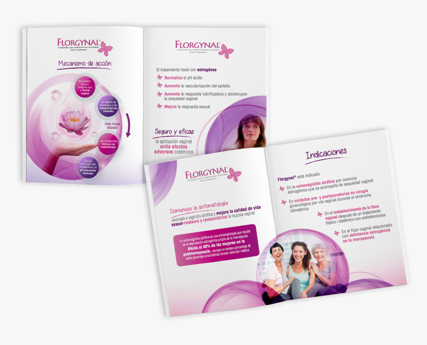 Brochure, HD Png Download