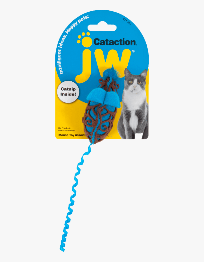 Jw Cataction Bird, HD Png Download