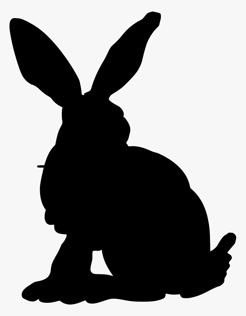 Rabbit, HD Png Download