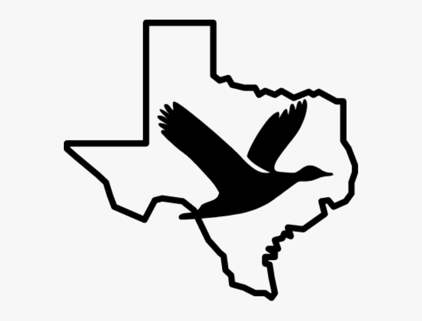 Icons San Antonio Clipart , Png Download - Clip Art, Transparent Png