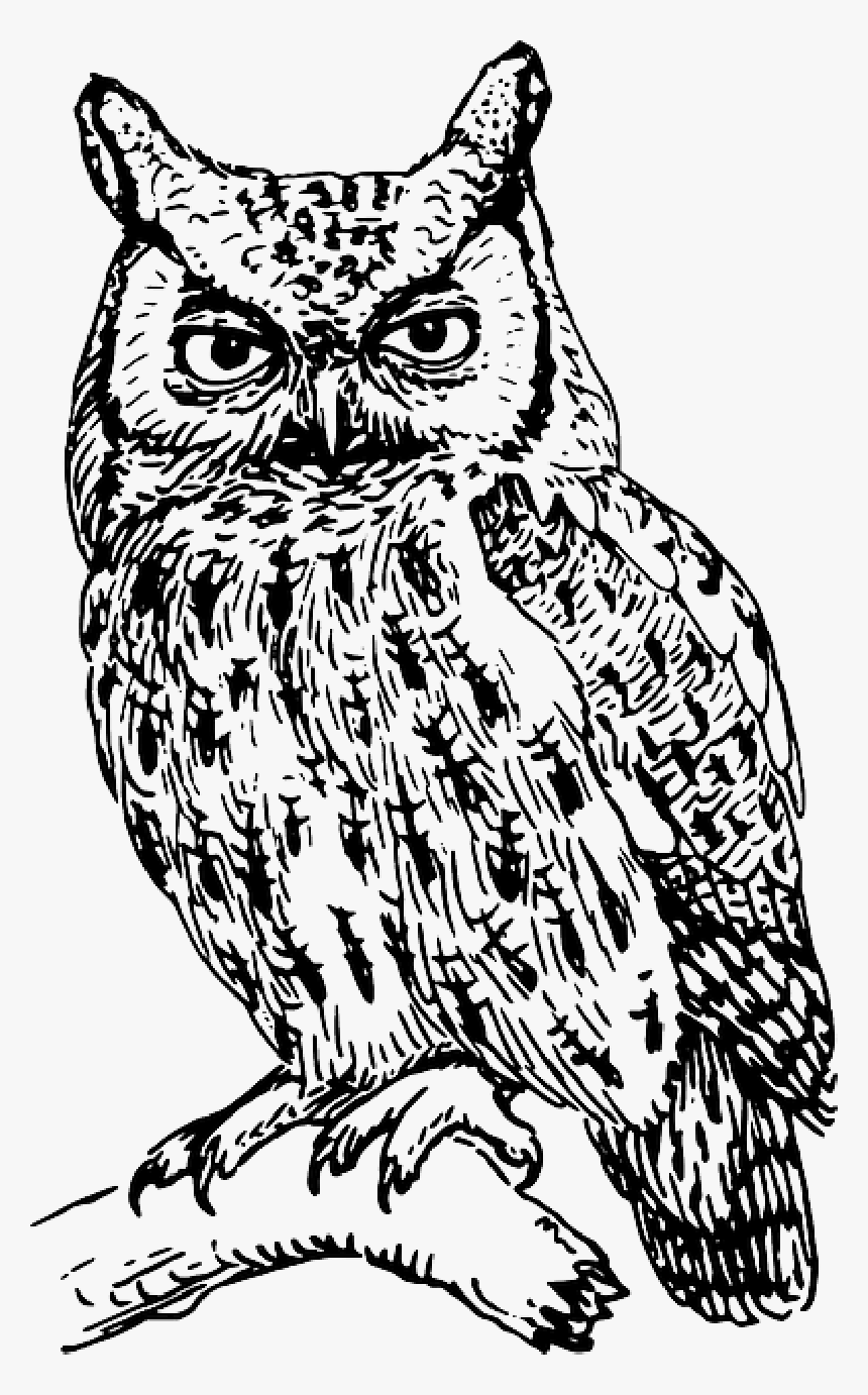 Animals, Tribal, Sketch, Silhouette, Cartoon, Birds - Clip Art Black And White Owl, HD Png Download