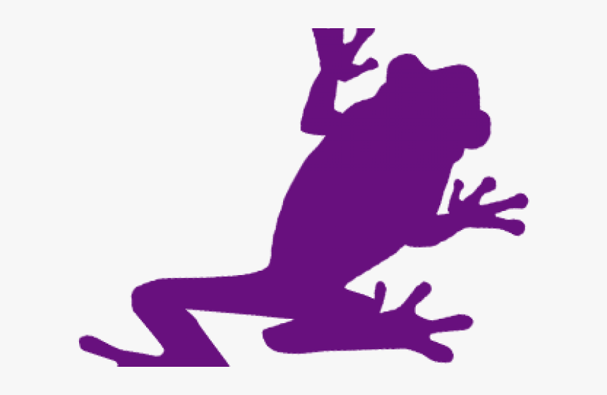 Frog, HD Png Download