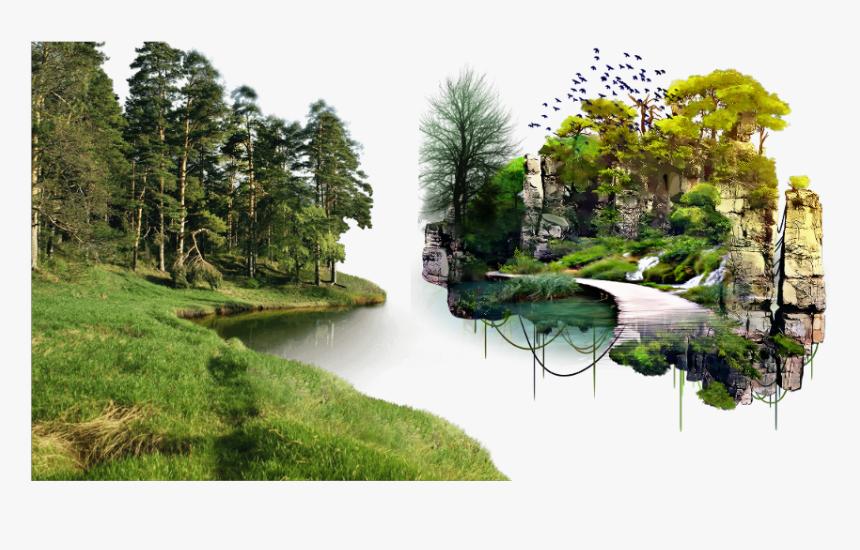 #paisaje - Png Fores, Transparent Png