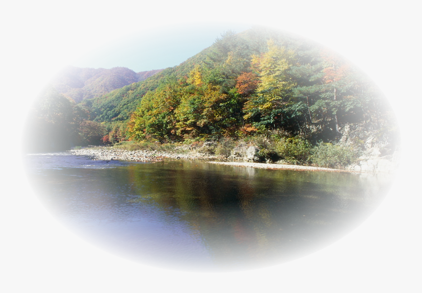 Imagenes De Bosques, HD Png Download