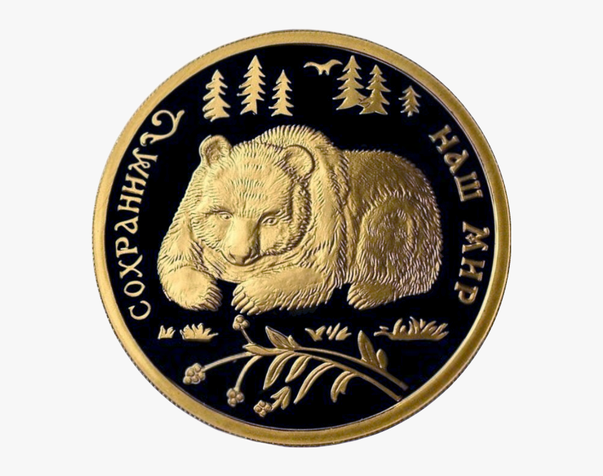 Rr5217-0005r Бурый Медведь, HD Png Download