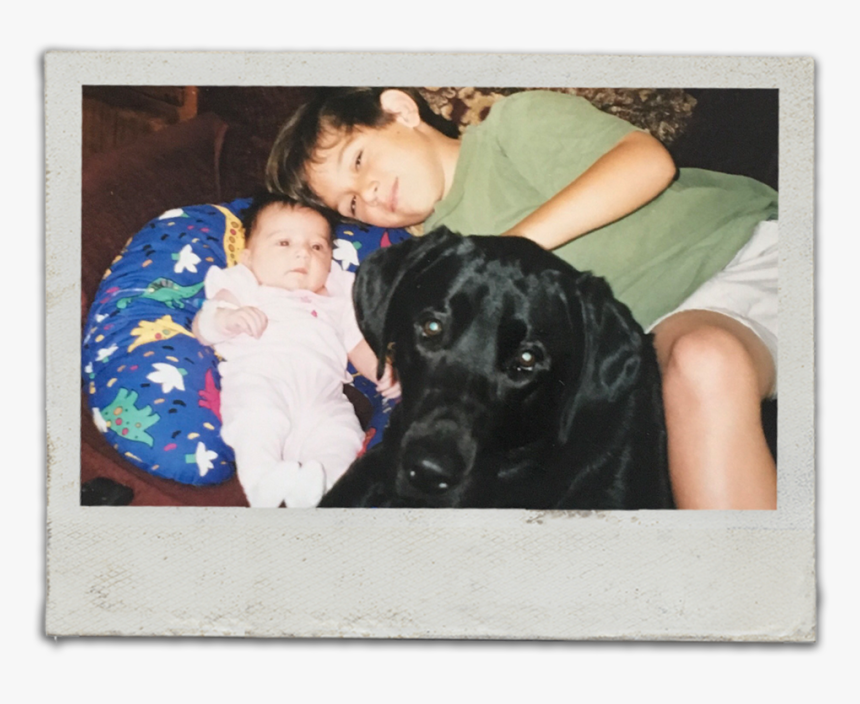 Picture Frame, HD Png Download