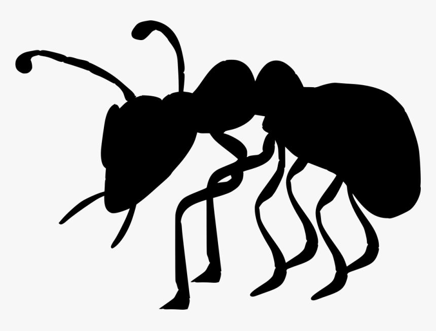 Ant Clip Art, HD Png Download