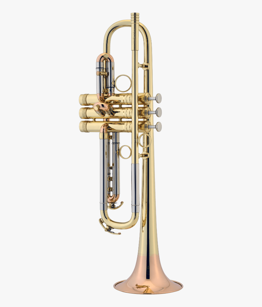 Signature Bb Trumpet Image - Trumpet, HD Png Download