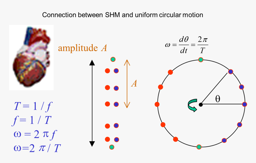 Diagram, HD Png Download